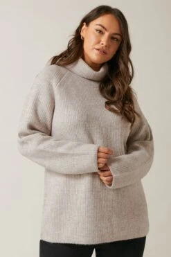 EVANS Curve Natural Brown Roll Neck Knitted Jumper