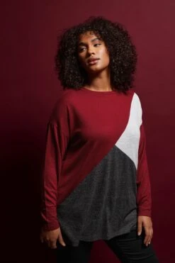 EVANS Curve Burgundy Red Colourblock Jumper
