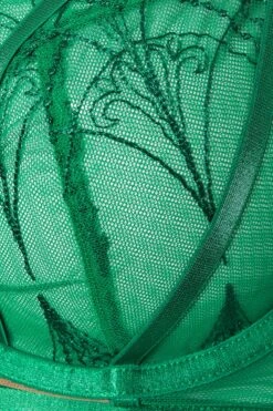 PLAYFUL PROMISES Soutien-gorge à Armatures Brodé En Dentelle Verte 15 PLAYFUL PROMISES Soutien-gorge à Armatures Brodé En Dentelle Verte -Evans Boutique 245759ec 481a 46 147337 Z