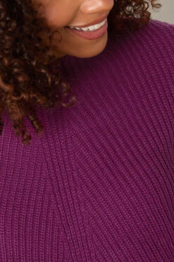 M&Co Berry Purple Funnel Neck Knitted Jumper 10 M&Co Berry Purple Funnel Neck Knitted Jumper -Evans Boutique 2751941c dc37 41 502427 D