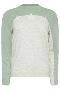 M&Co Grey & Green Contrast Sleeve Star Print Jumper 11 M&Co Grey & Green Contrast Sleeve Star Print Jumper -Evans Boutique 34941224 2c62 43 500467 X