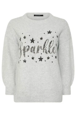 EVANS Curve Grey Sequin Embellished 'Sparkle' Christmas Jumper 11 EVANS Curve Grey Sequin Embellished 'Sparkle' Christmas Jumper -Evans Boutique 3c63bc96 105c 4a 616256 X