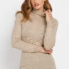 LTS Tall Beige Brown Long Sleeve Roll Neck Jumper 1 LTS Tall Beige Brown Long Sleeve Roll Neck Jumper -Evans Boutique 43b6afa4 3f39 47 353788 A