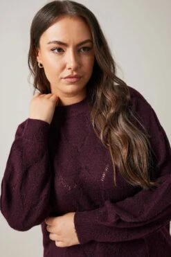 EVANS Curve Burgundy Red Pointelle Knitted Jumper 11 EVANS Curve Burgundy Red Pointelle Knitted Jumper -Evans Boutique 4e577a15 443c 46 615525 D