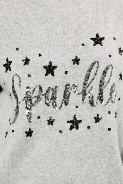 EVANS Curve Grey Sequin Embellished 'Sparkle' Christmas Jumper 10 EVANS Curve Grey Sequin Embellished 'Sparkle' Christmas Jumper -Evans Boutique 52de9899 6d83 4a 616256 D