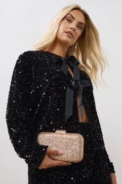 Champagne Gold Sequin Clutch Bag