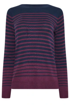 M&Co Navy Stripe Crew Neck Jumper 15 M&Co Navy Stripe Crew Neck Jumper -Evans Boutique 80c7ab1a d1a4 49 502477 X
