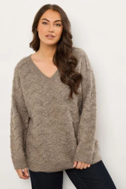 EVANS Curve Natural Brown Zig Zag V-Neck Knitted Jumper