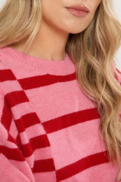 LTS Tall Pink & Red Striped Knitted Jumper -Evans Boutique b0f85d86 79d9 47 356362 D