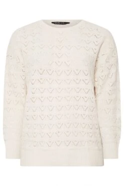 YOURS - Pull En Maille Blanc Design Crochet Manches Longues 11 YOURS - Pull En Maille Blanc Design Crochet Manches Longues -Evans Boutique c0bbb26b b301 46 280499 X
