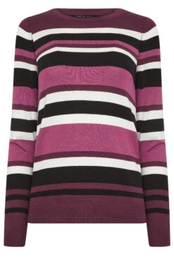 M&Co Berry Purple Stripe Crew Neck Jumper 11 M&Co Berry Purple Stripe Crew Neck Jumper -Evans Boutique c1828f3d a7ee 43 502475 X