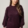 EVANS Curve Burgundy Red Pointelle Knitted Jumper 2 EVANS Curve Burgundy Red Pointelle Knitted Jumper -Evans Boutique c8228e13 683f 43 615525 A