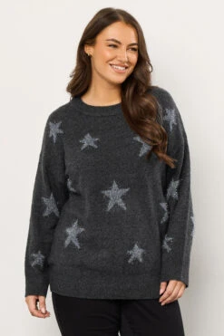 EVANS Curve Grey Star Tinsel Detail Jumper