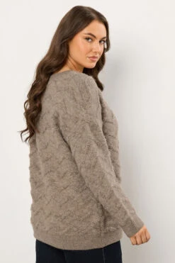 EVANS Curve Natural Brown Zig Zag V-Neck Knitted Jumper 9 EVANS Curve Natural Brown Zig Zag V-Neck Knitted Jumper -Evans Boutique d48c0264 fab5 48 616234 C