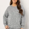 EVANS Curve Grey Sequin Embellished Stripe Jumper 1 EVANS Curve Grey Sequin Embellished Stripe Jumper -Evans Boutique ed5667fd a0e8 4b 616237 A