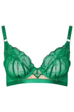 PLAYFUL PROMISES Soutien-gorge à Armatures Brodé En Dentelle Verte 13 PLAYFUL PROMISES Soutien-gorge à Armatures Brodé En Dentelle Verte -Evans Boutique efc2c550 05e7 43 147337 X