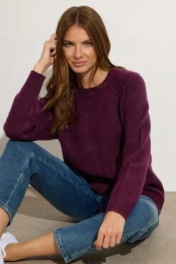 M&Co Berry Purple Raglan Jumper 9 M&Co Berry Purple Raglan Jumper -Evans Boutique f453bf4e 433c 4f 502459 A