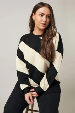 EVANS Curve Black & White Diagonal Stripe Knitted Jumper